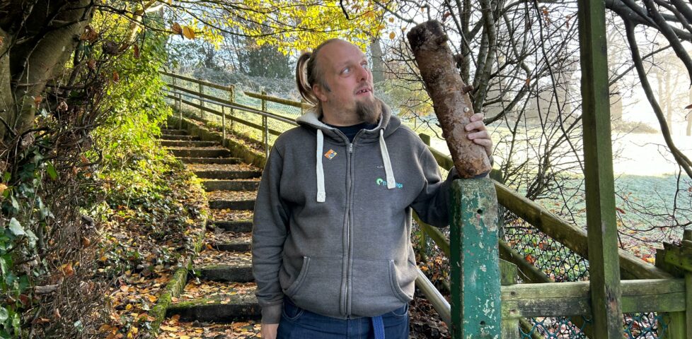 Dan stands by some steps in a park, holding a strange-looking log.