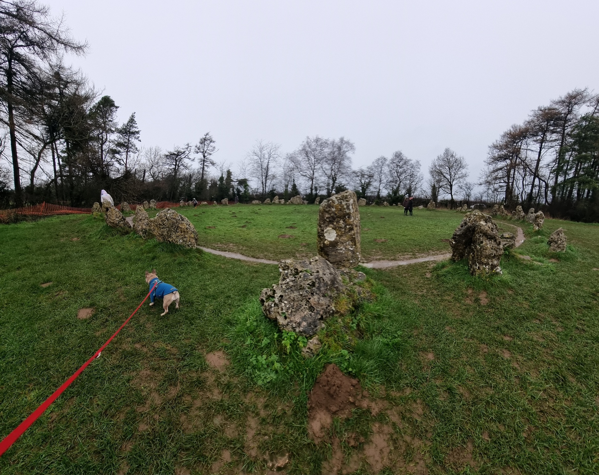 Full image of A stone circle in the rain. Some people (and a dog) are walking around it.