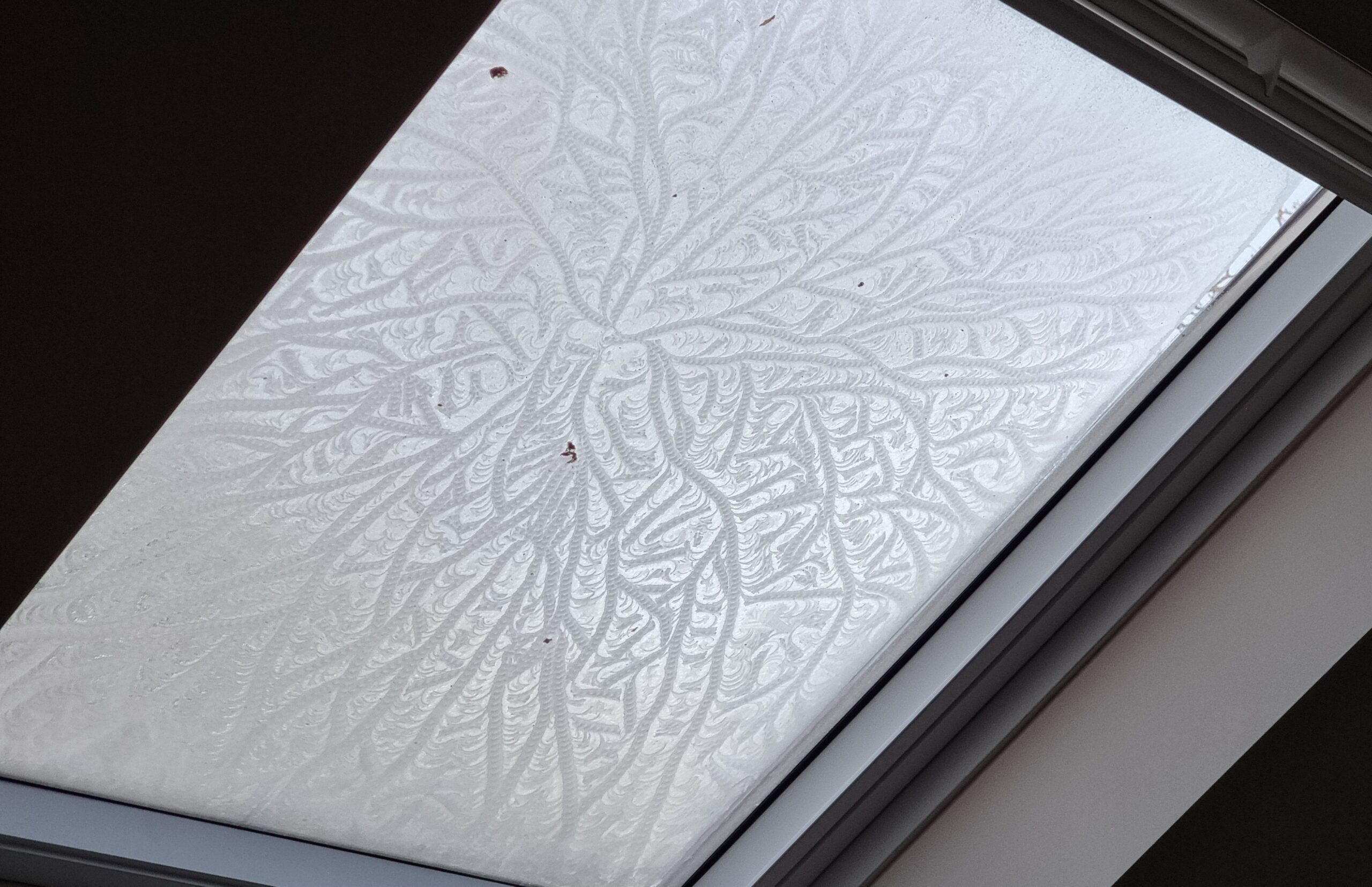 Full image of Skylight window viewed from the inside. The outside has a layer of ice punctuated by thinner patches of whirling, seaweed-like patterns that crisscross around it as if formed by a living thing.