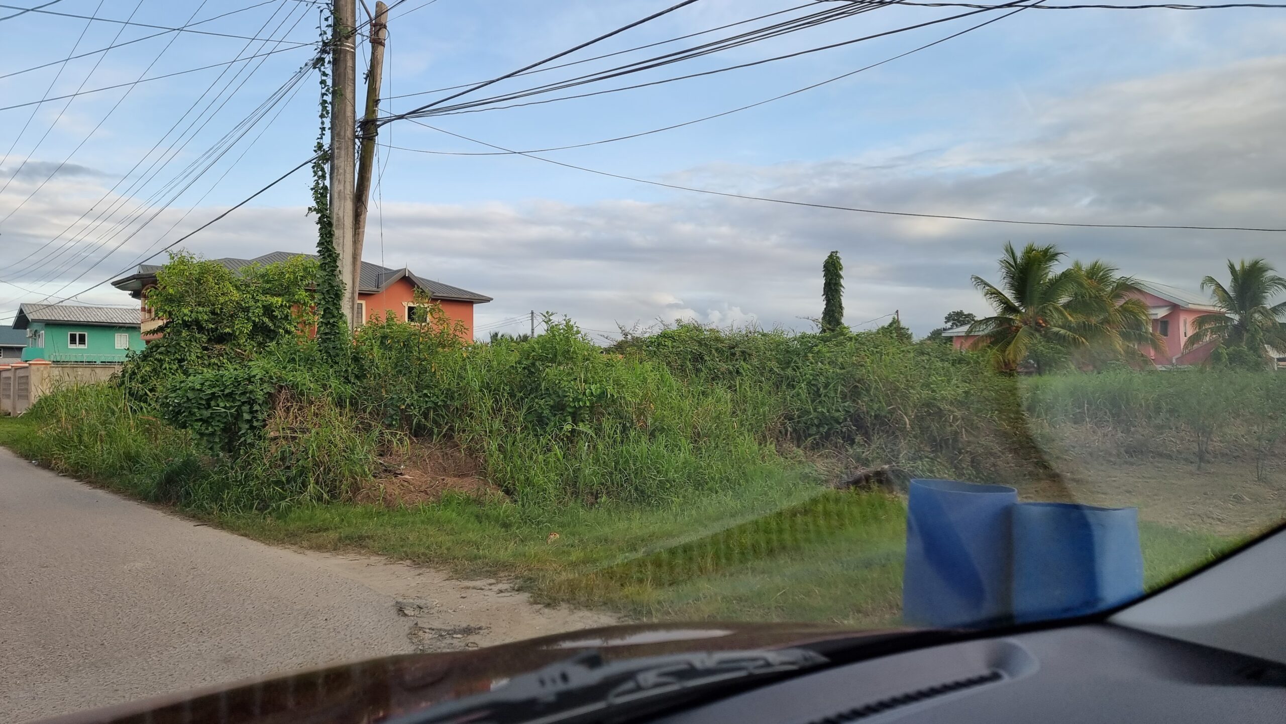 Full image of View through a windscreen and across a road into an overgrown wilderness between houses, under power lines.