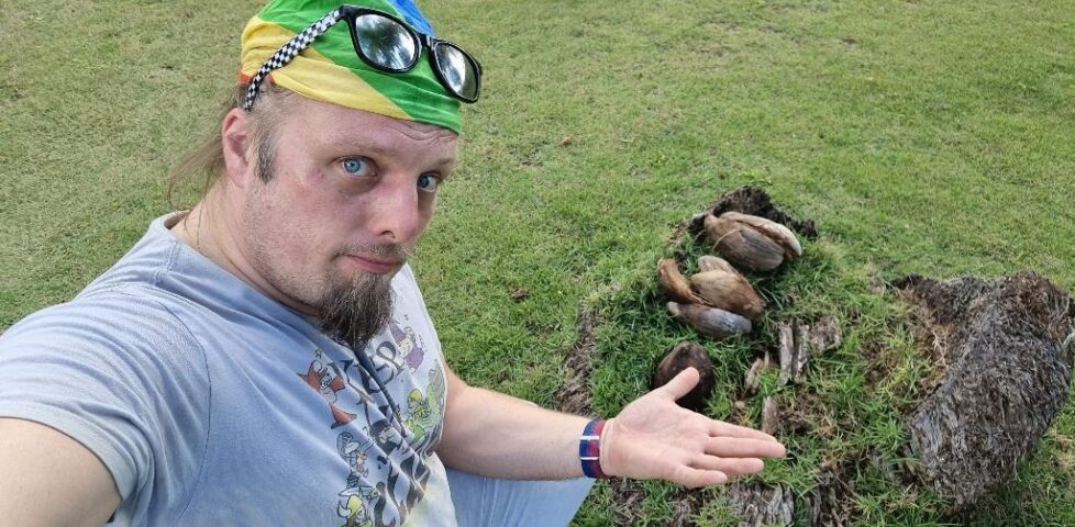 Dan, wearing his sunglasses on top of his bandana, looking hot and grumpy, crouches by a tree stump with coconut husks atop it.