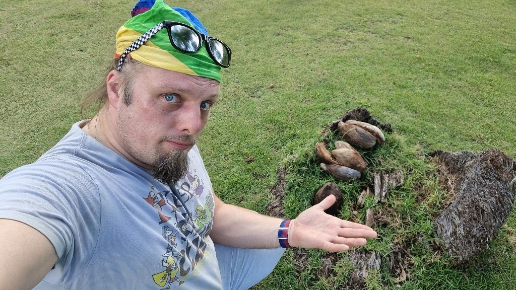 Full image of Dan, wearing his sunglasses on top of his bandana, looking hot and grumpy, crouches by a tree stump with coconut husks atop it.