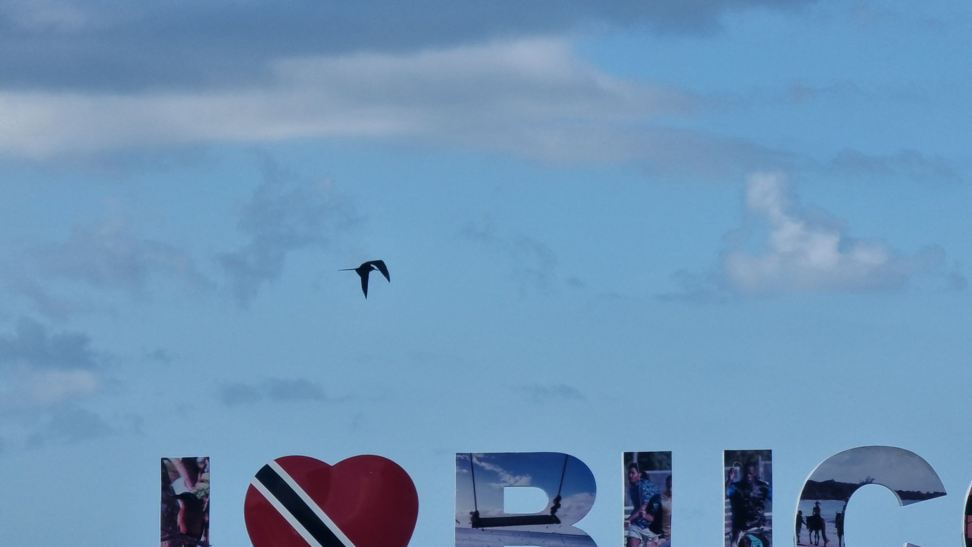 Full image of Silhouette of a bird flying through lightly-cloudy skies, over a colourful sign which begins "I heart-sign BUC" before disppearing out of frame. The heart is coloured in the red-with-a-black-and-white-diagonal-stripe of the Trinidad & Tobago flag.