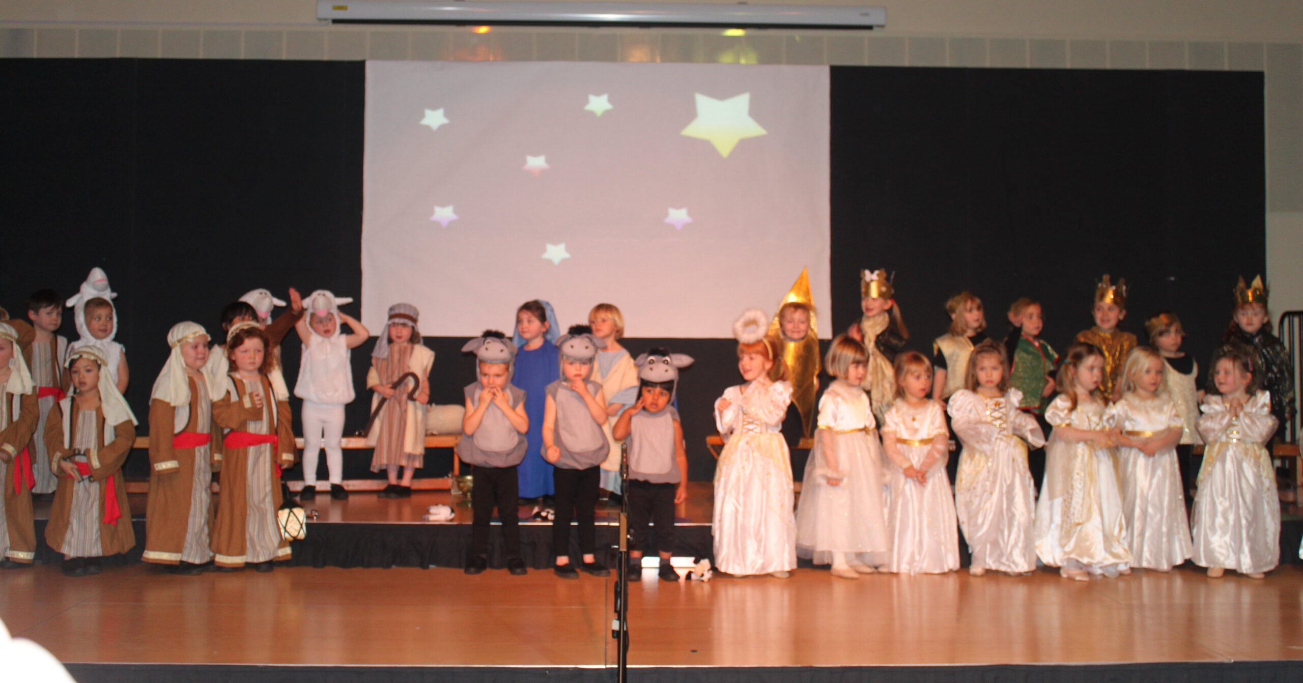 Full image of A group of children dressed as Mary, Joseph, shepherds, kings, angels, and a variety of barn animals crowd a stage.
