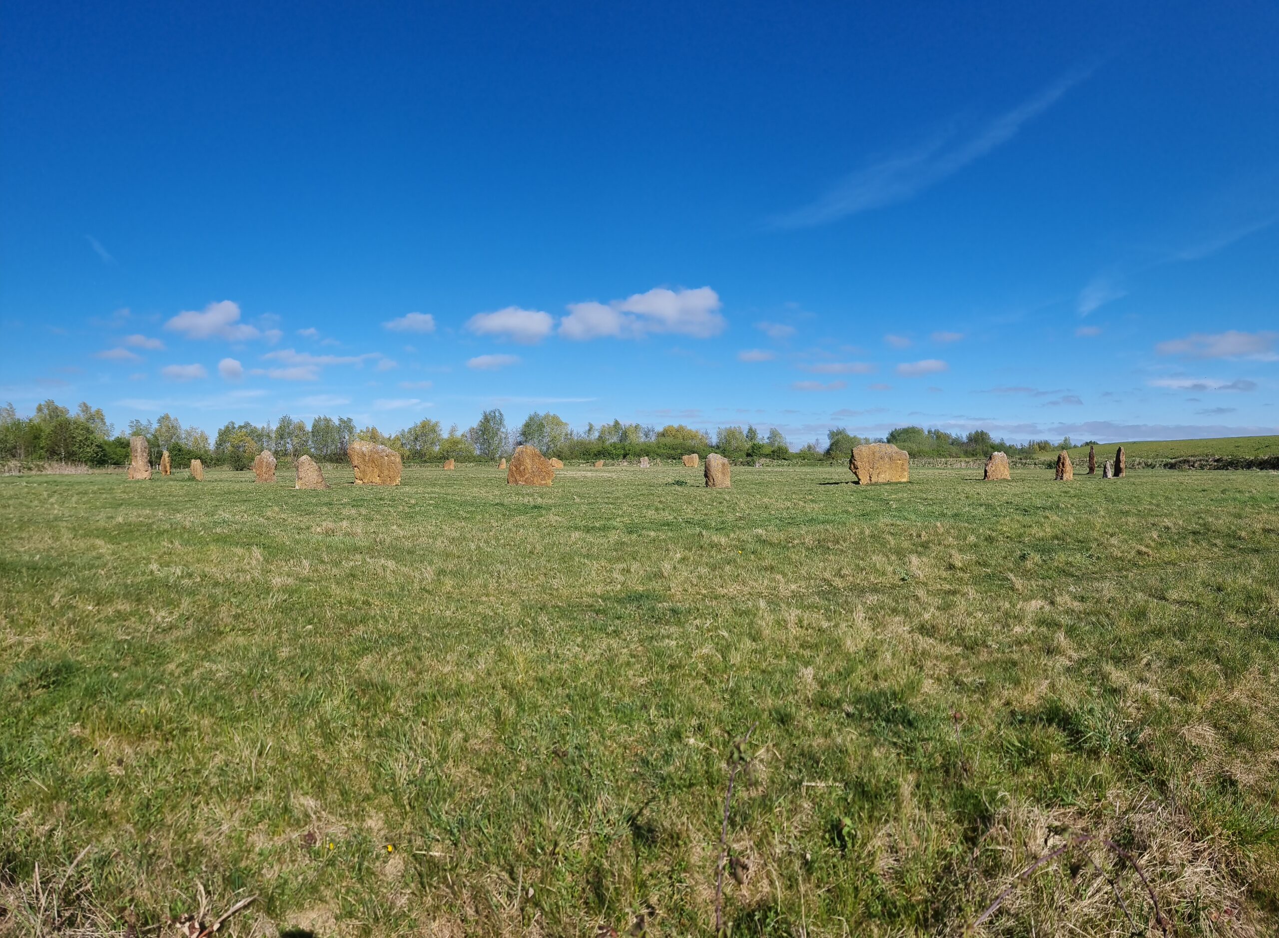 Full image of A circle of standing stones in a henge, in a clearing flanked by trees, under wispy clouds in a bright blue sky.