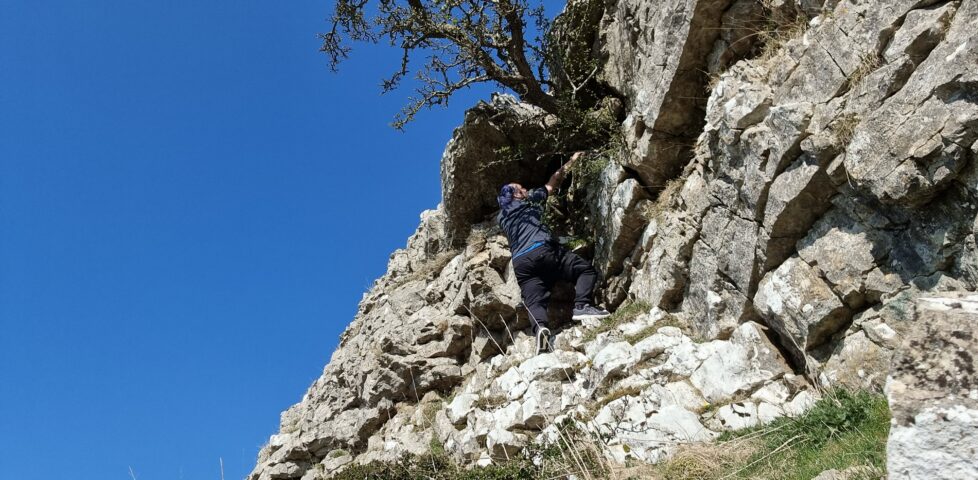 Dan, seen from below, scrambles up a craggy limestone cliff underneath a hawthorne tree that clings to an overhang.