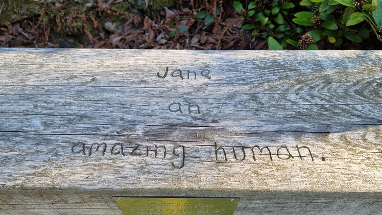 Full image of Top of a simple wooden bench; an attached brass plaque on the front side can be seen, but is illegible from this angle. But on the top, somebody has carved "Jane an amazing human."