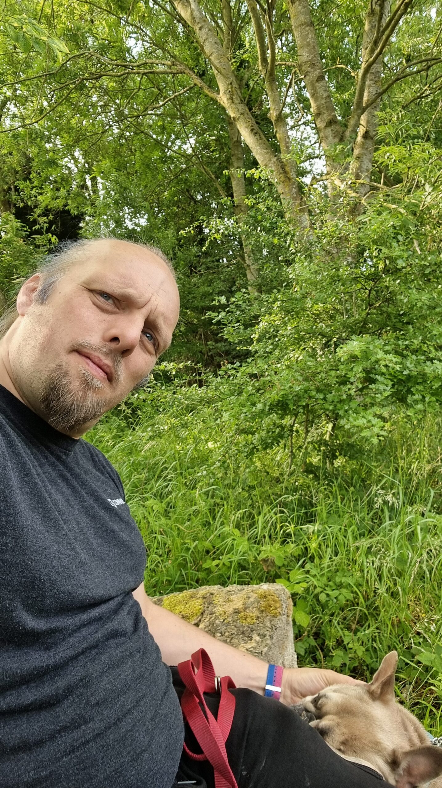Full image of Dan looks confused, sitting on a concrete block.