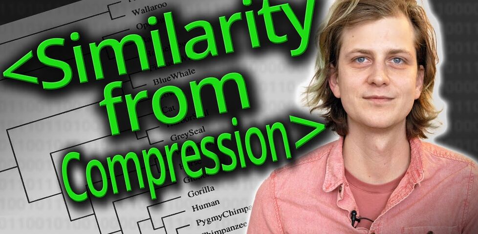 Similarity From Compression title frame