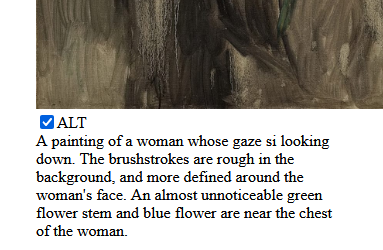 Image with its alt text displayed afterwards, on the other side of a checkbox and the word 'ALT'.