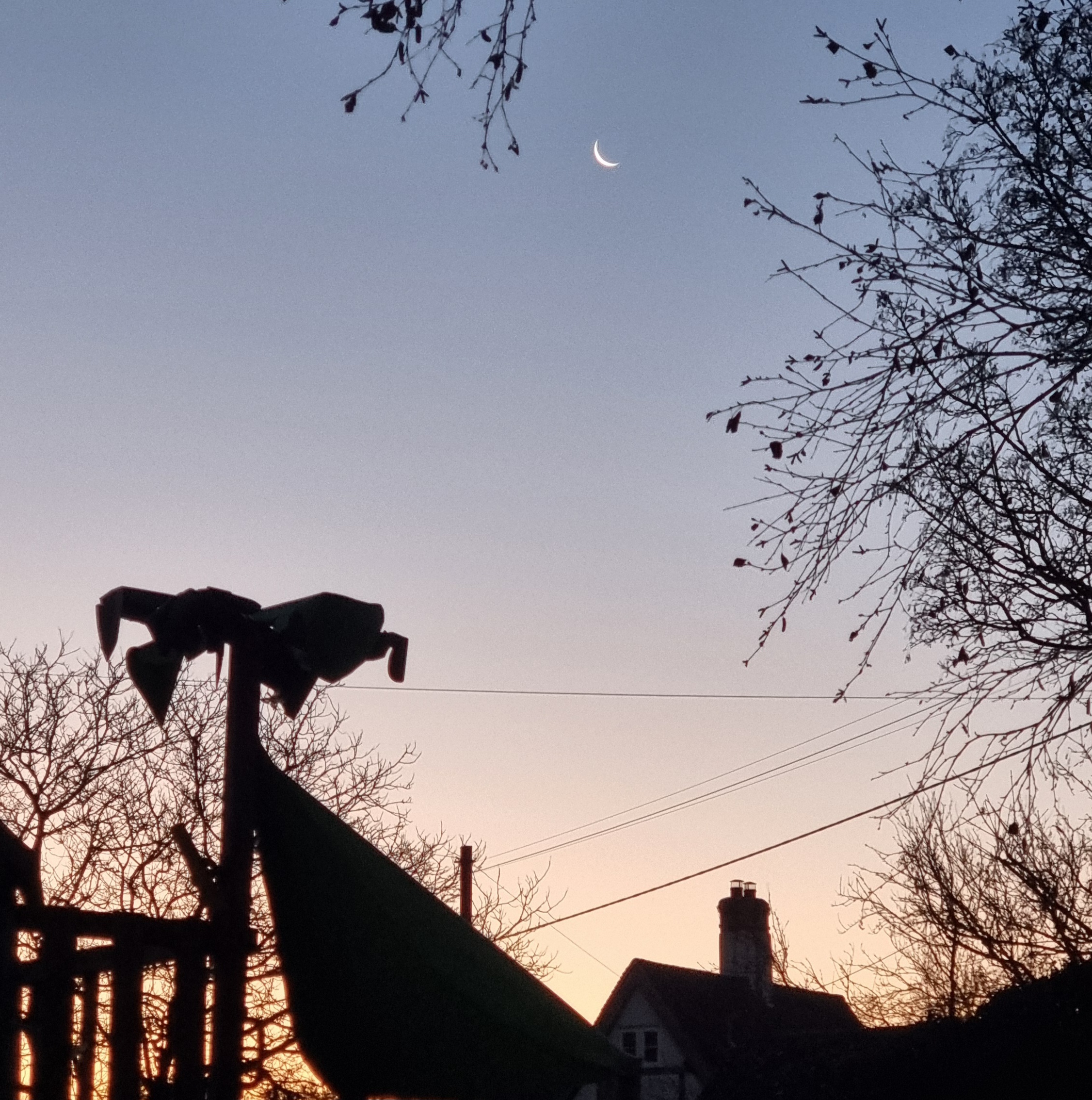 Full image of A silver sliver of a crescent moon in the indigo part of a colourful autumn sunrise framed between spindly tree branches above and roofs below.