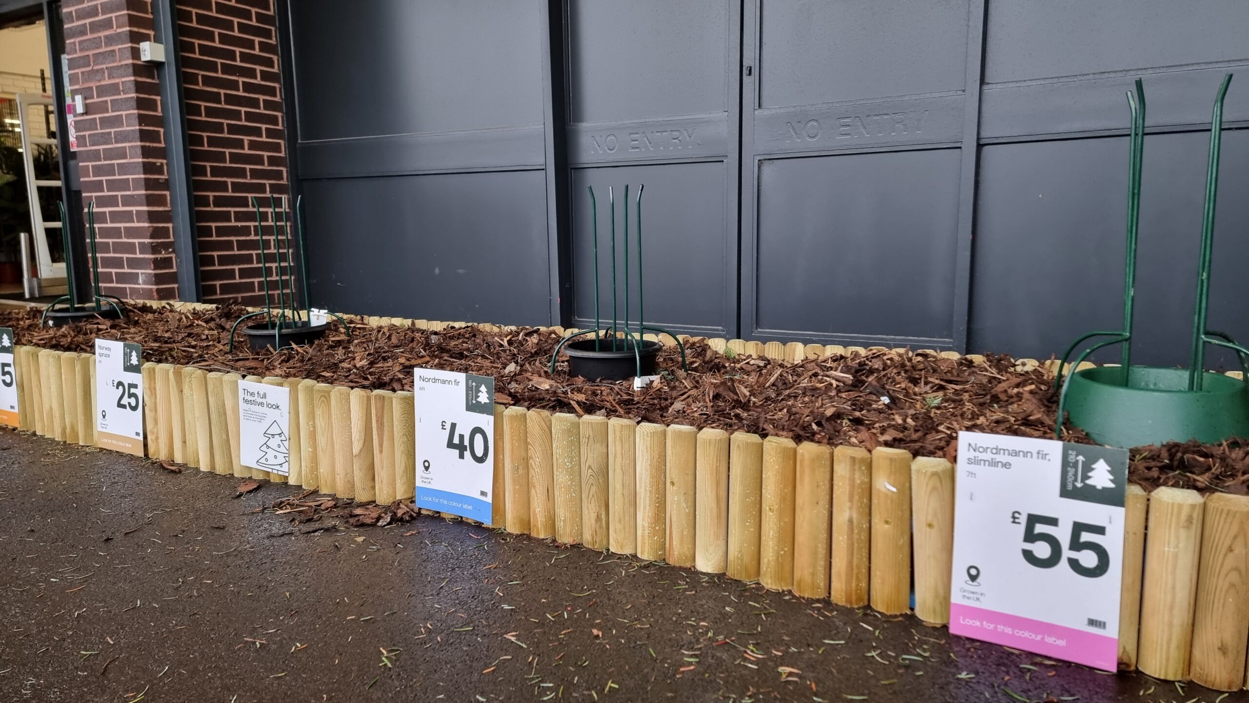 Full image of Display bed of Christmas trees outside a hardware store except each pot, labelled with its species and approximate height, is empty.
