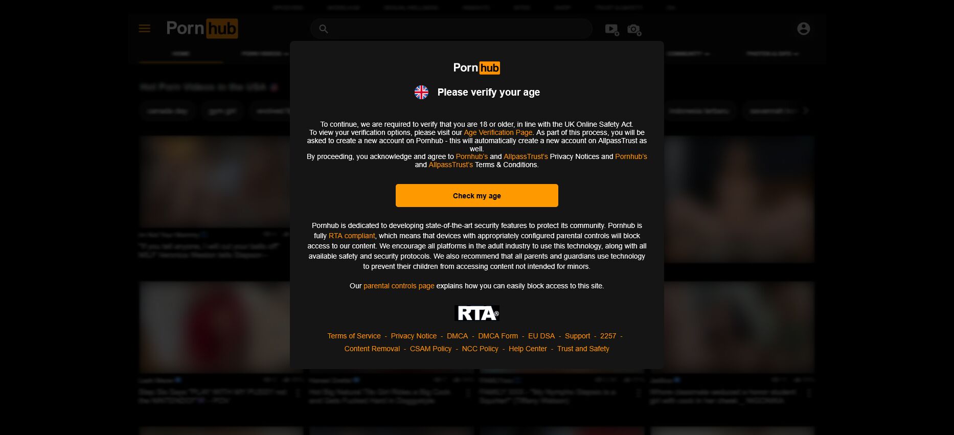 Full image of Screenshot from Pornhub, asking the user to 'verify your age'.