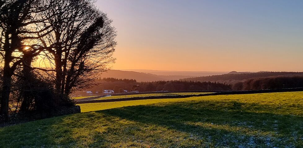Early morning light over wintery fields and between the branches of bare trees.