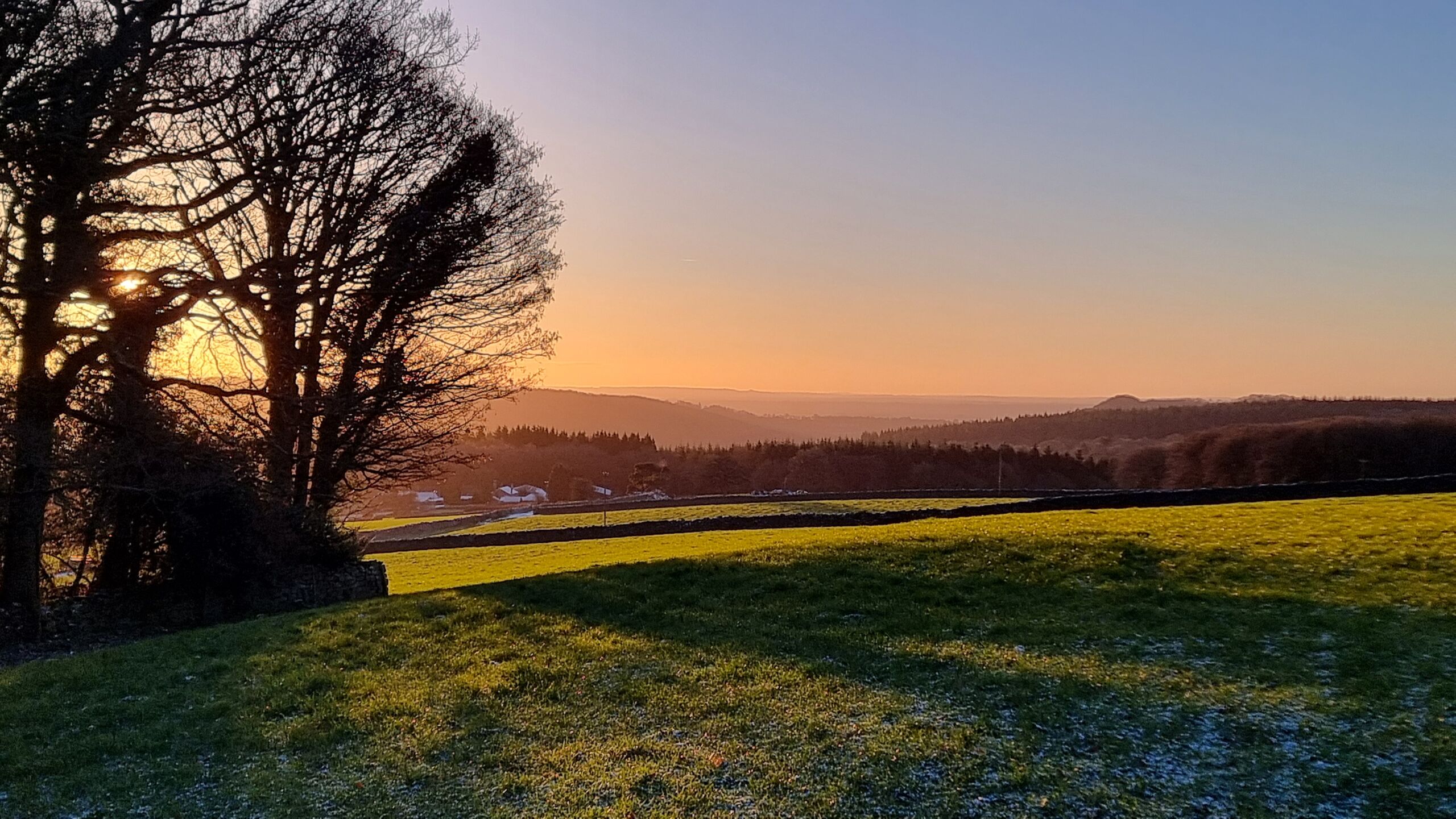 Full image of Early morning light over wintery fields and between the branches of bare trees.