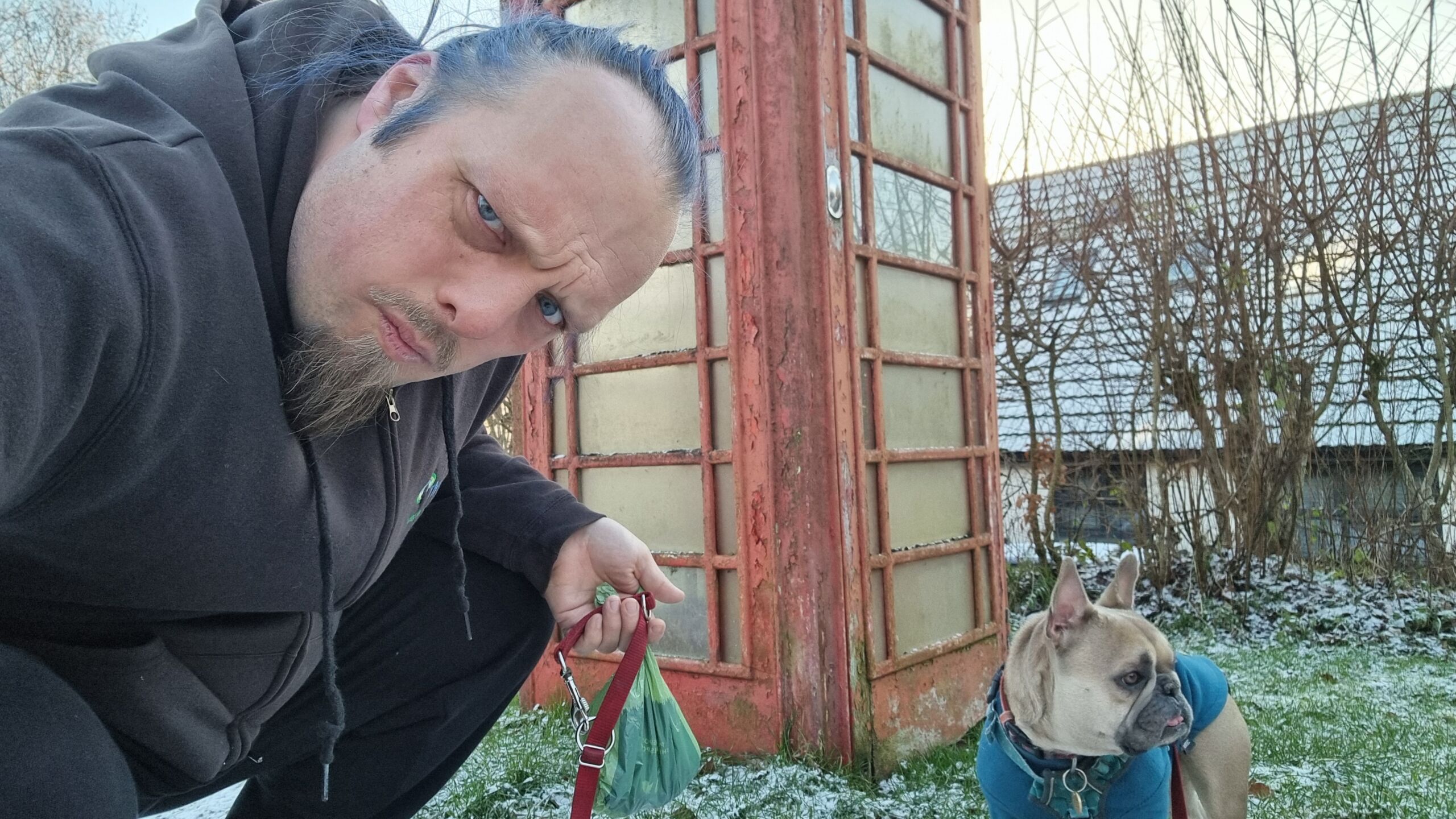 Full image of Dan, a white man with blue hair, looks confused alongside a French Bulldog, in front of a red telephone box.