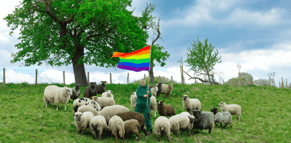 A flock of sheep on a green meadow with a shepherd holding a rainbow flag.