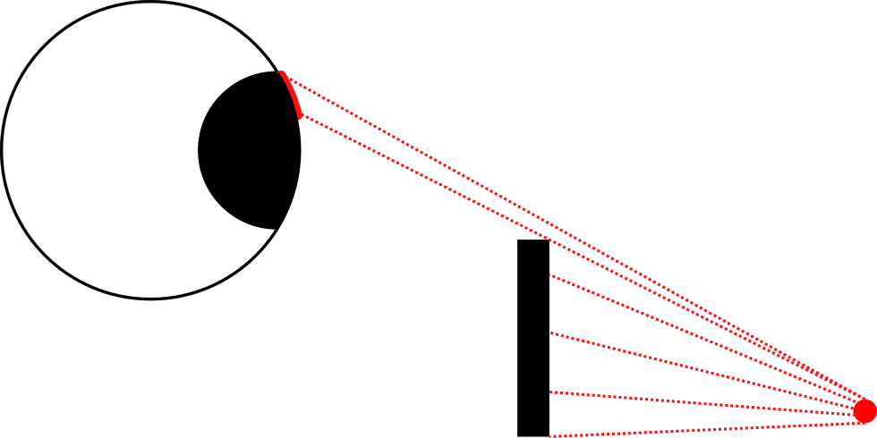 Full image of Animated illustration showing how an eyeball that rotates to face a light source can have that light obstructed by an intermediary obstacle, but when it looks "away" some of the light can hit the pupil as a consequence of its curved shape now appearing "above the horizon" of the obstacle.