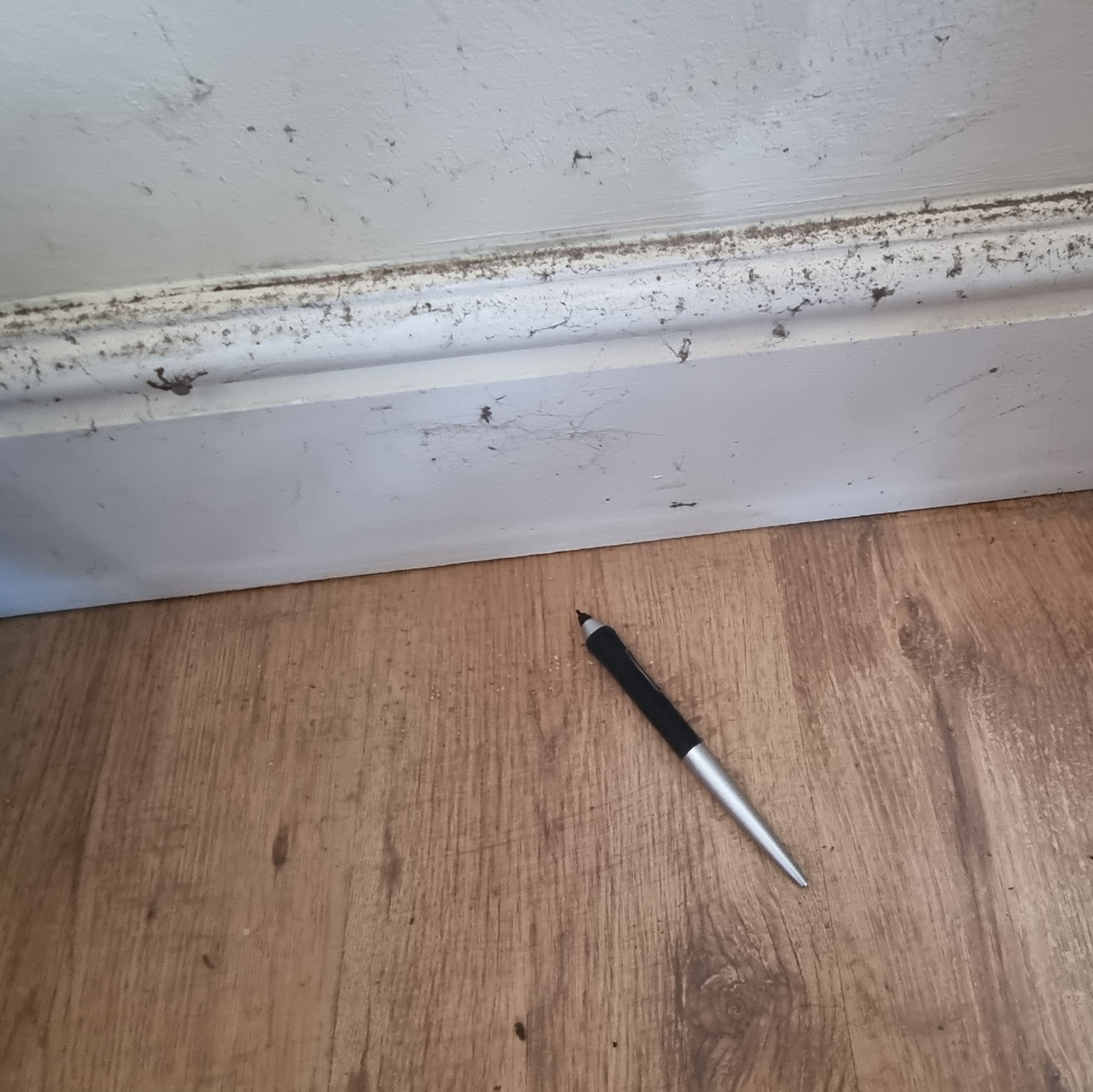 Full image of An 'XP-Pen' digital stylus on a wooden floor alongside a water-stained wall.