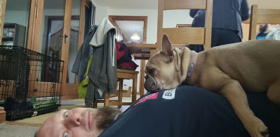A white man with a goatee lies on his back on a floor. A French Bulldog lies on his chest, looking at him. 