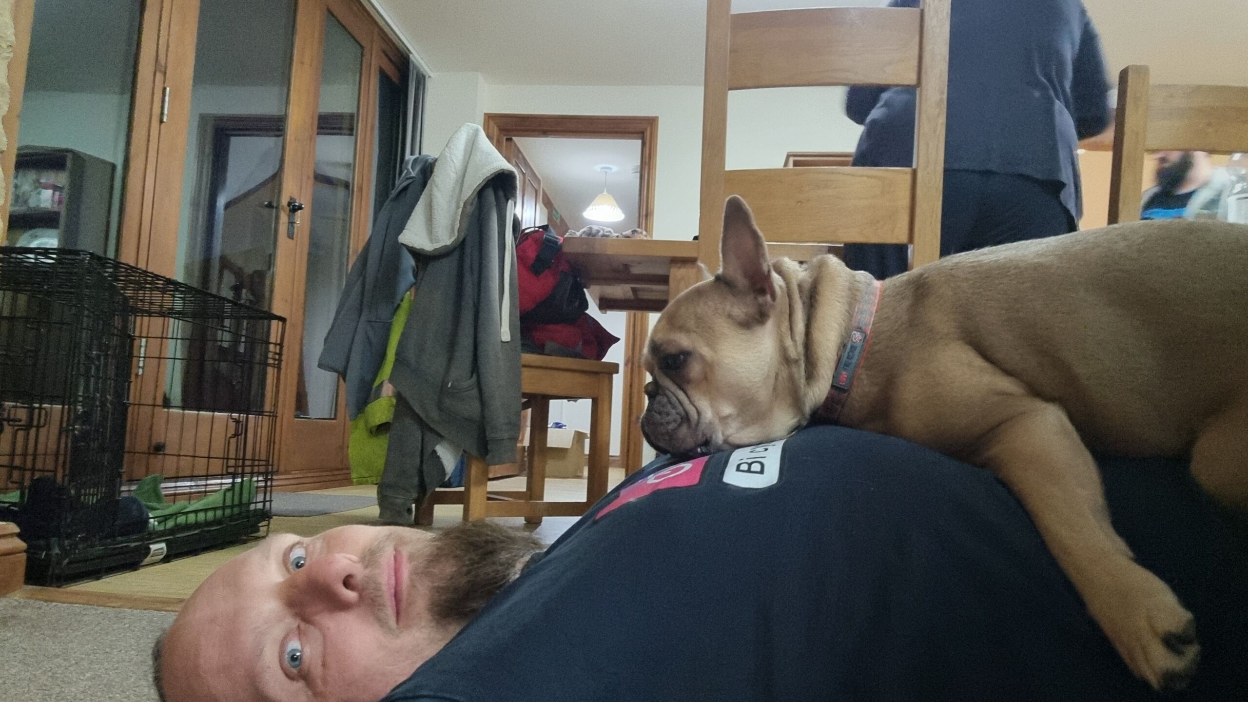 Full image of A white man with a goatee lies on his back on a floor. A French Bulldog lies on his chest, looking at him.