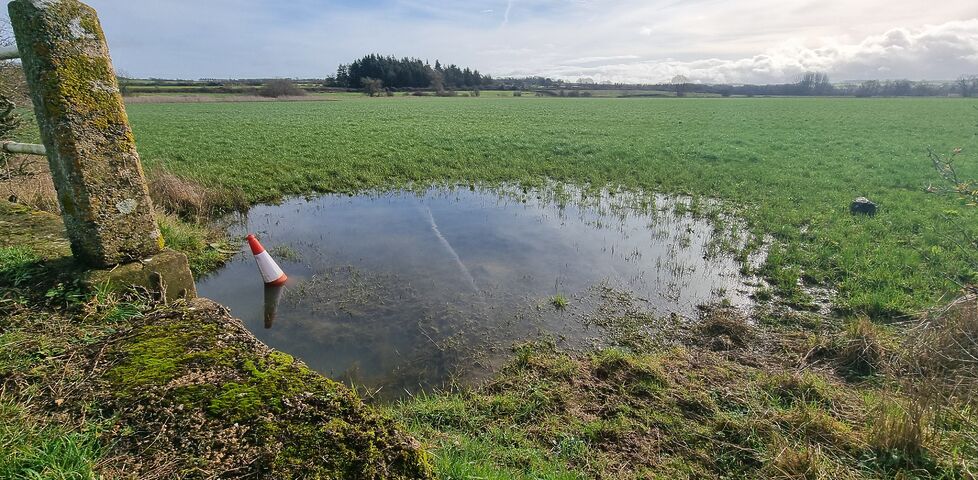 A partially-submerged traffic cone sits in a large puddle in a rural field.