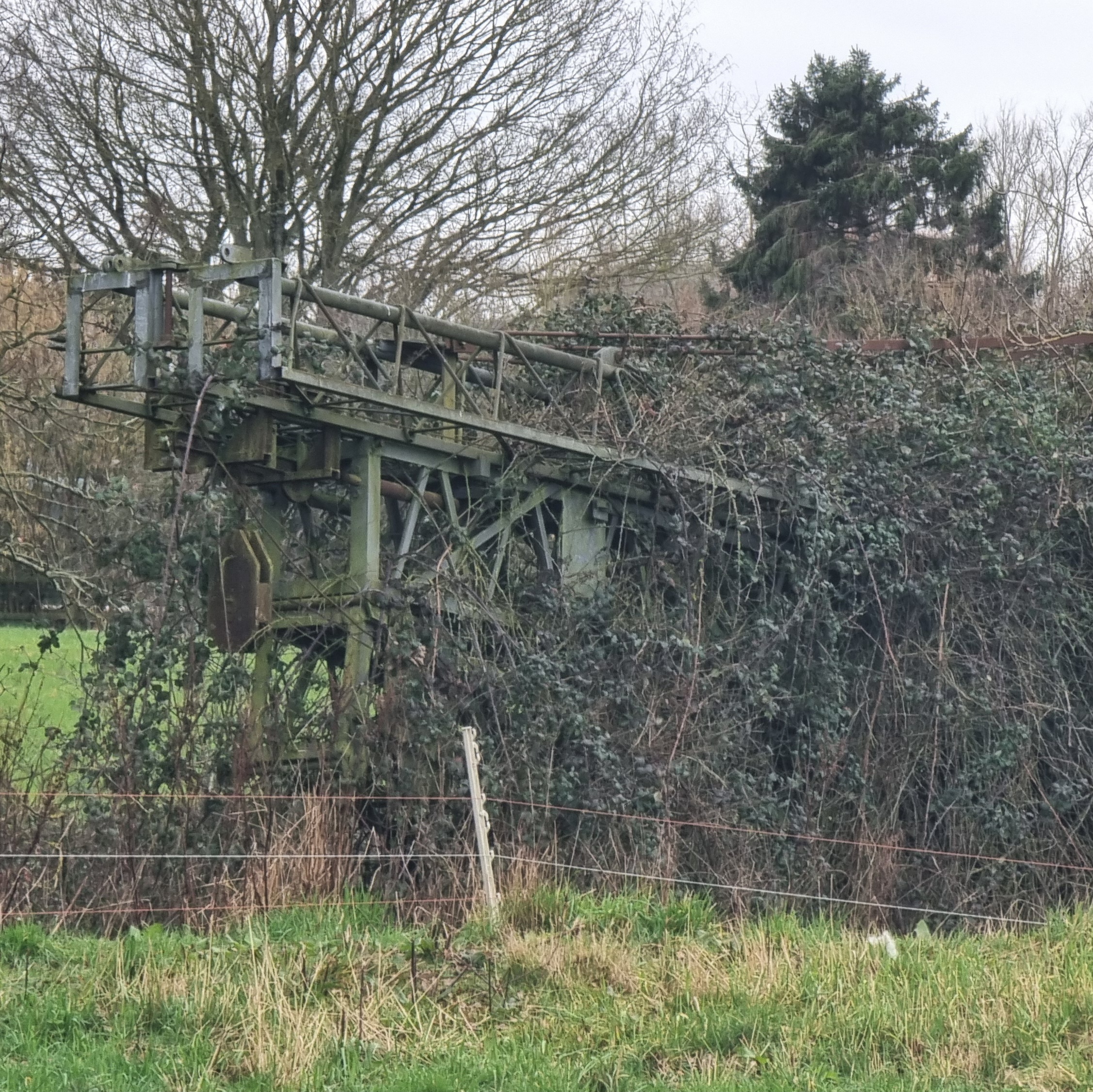Full image of Rusted remains of what might have once been a crane lie in a pasture, almost completely enveloped in thick brambles.