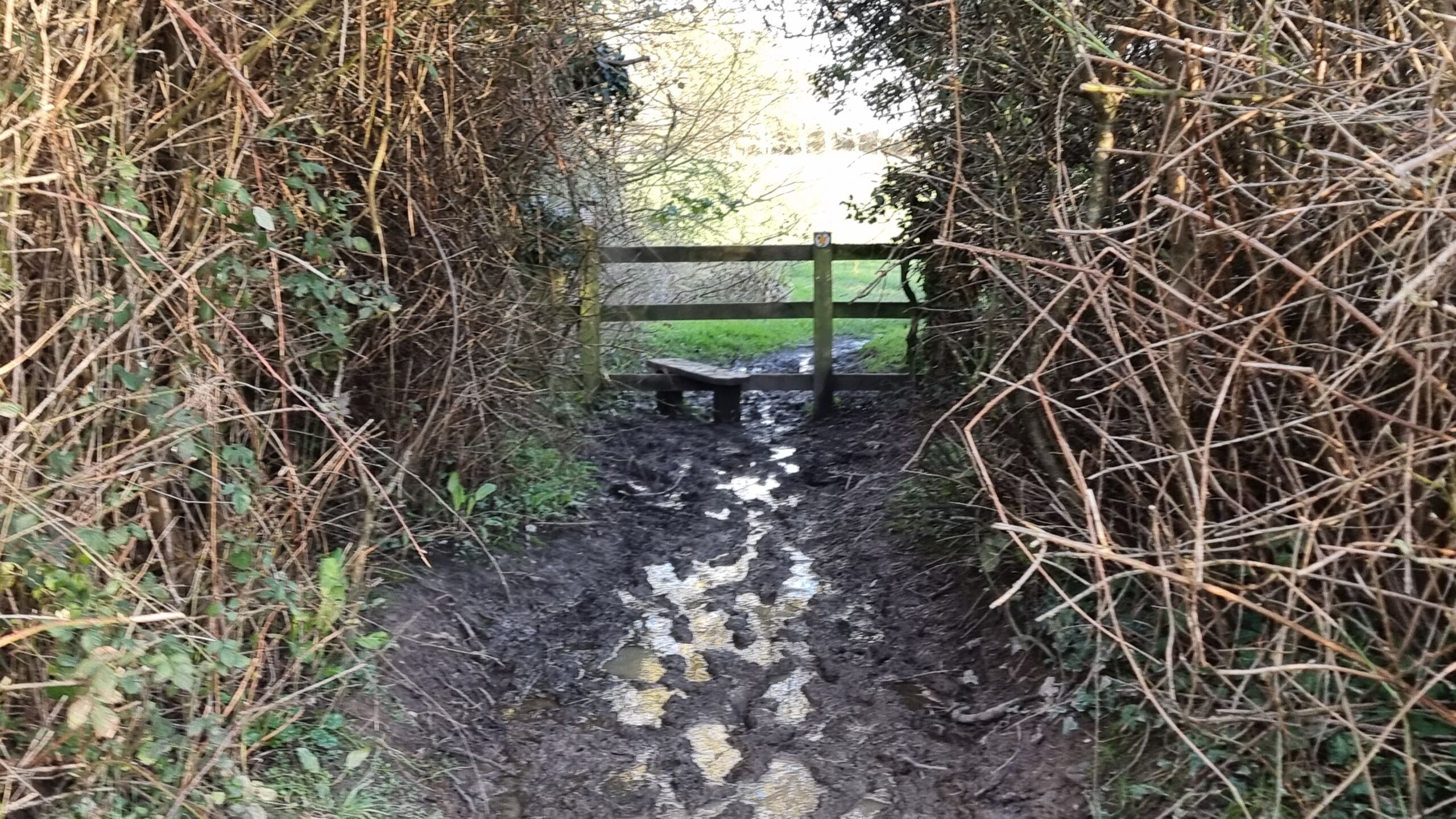 Full image of An extremely muddy footpath leading to a stile.