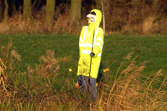 A mannequin wears a high-vis jacket and holds a fishing rod, standing in the rushes of a lake.