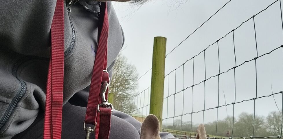 Dan crouches by his French Bulldog on a rural footpath.