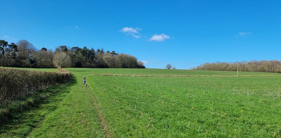 A boy and a dog run through a grassy fallow field.