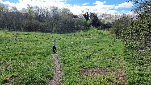 A boy runs ahead into a grassy meadow.