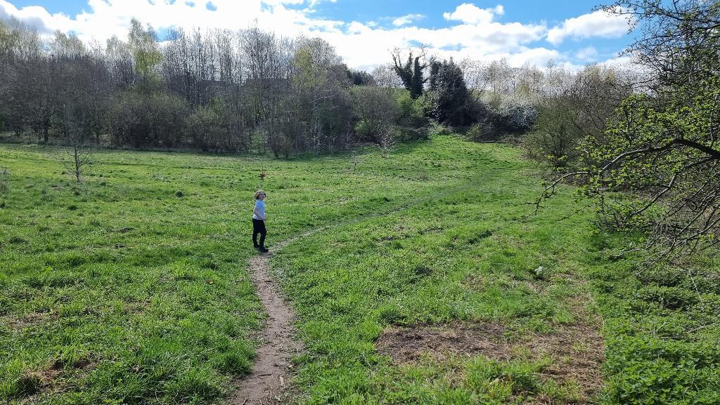 Full image of A boy runs ahead into a grassy meadow.