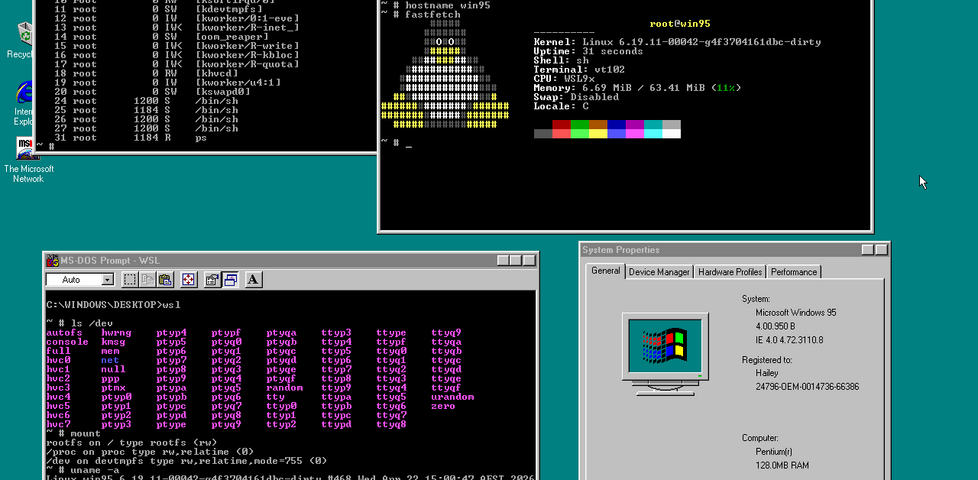 Image representing post: WSL9x