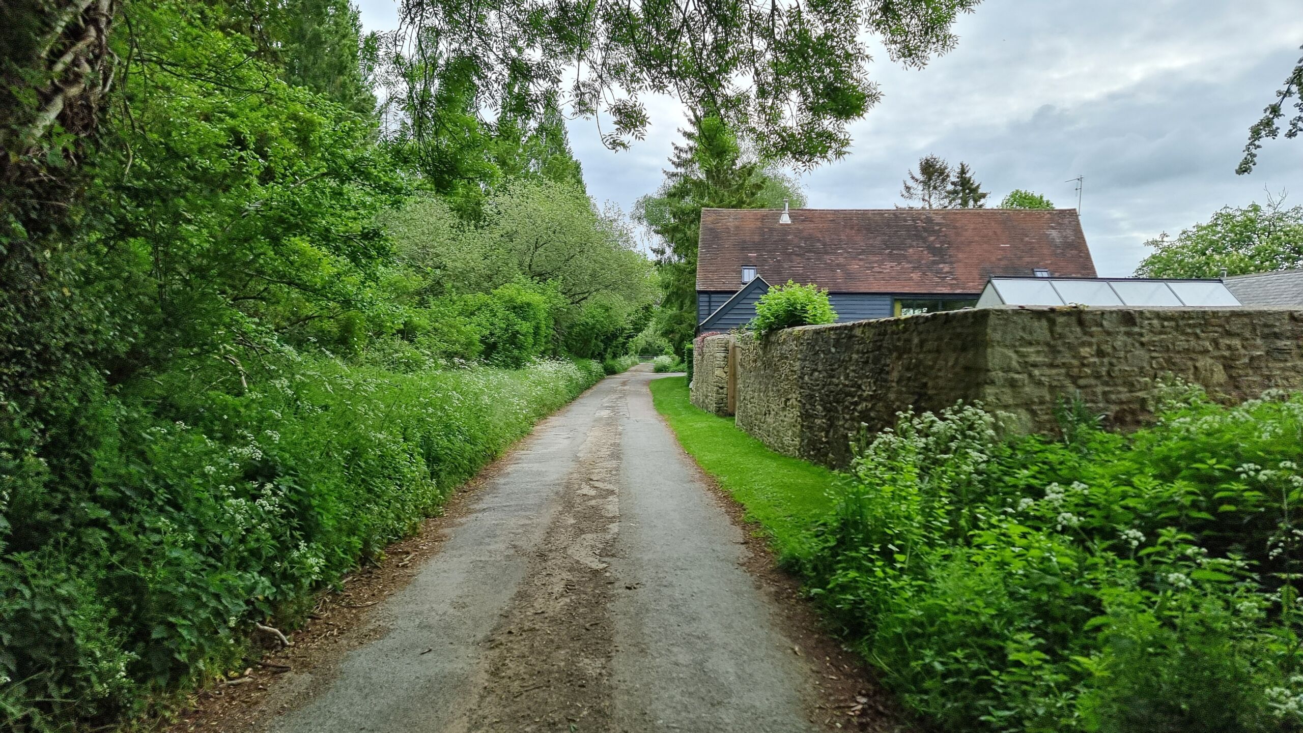 Full image of A paved lane leading past a farmhouse.