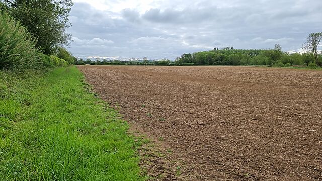 A field, turned over but left fallow.