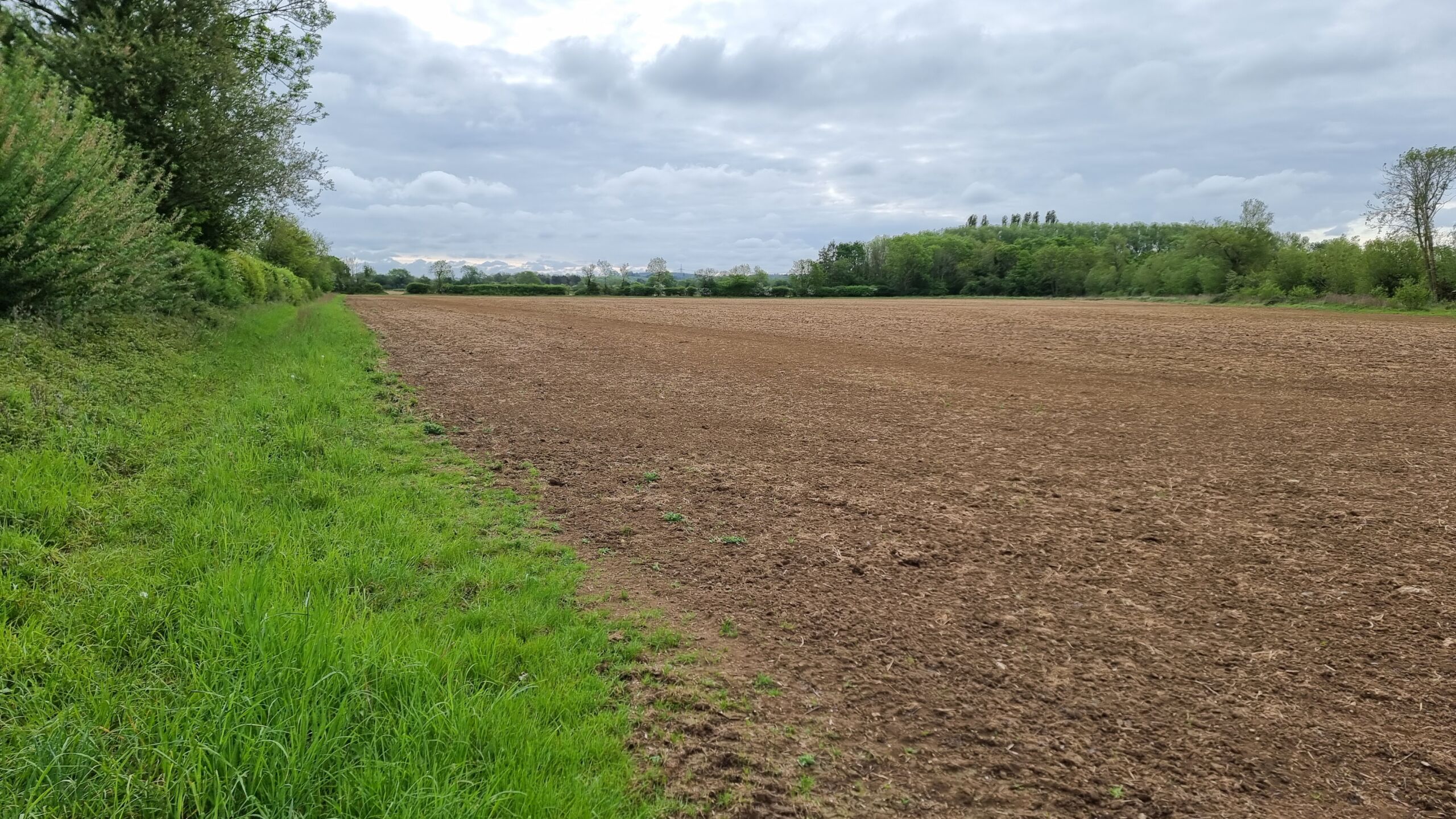 Full image of A field, turned over but left fallow.