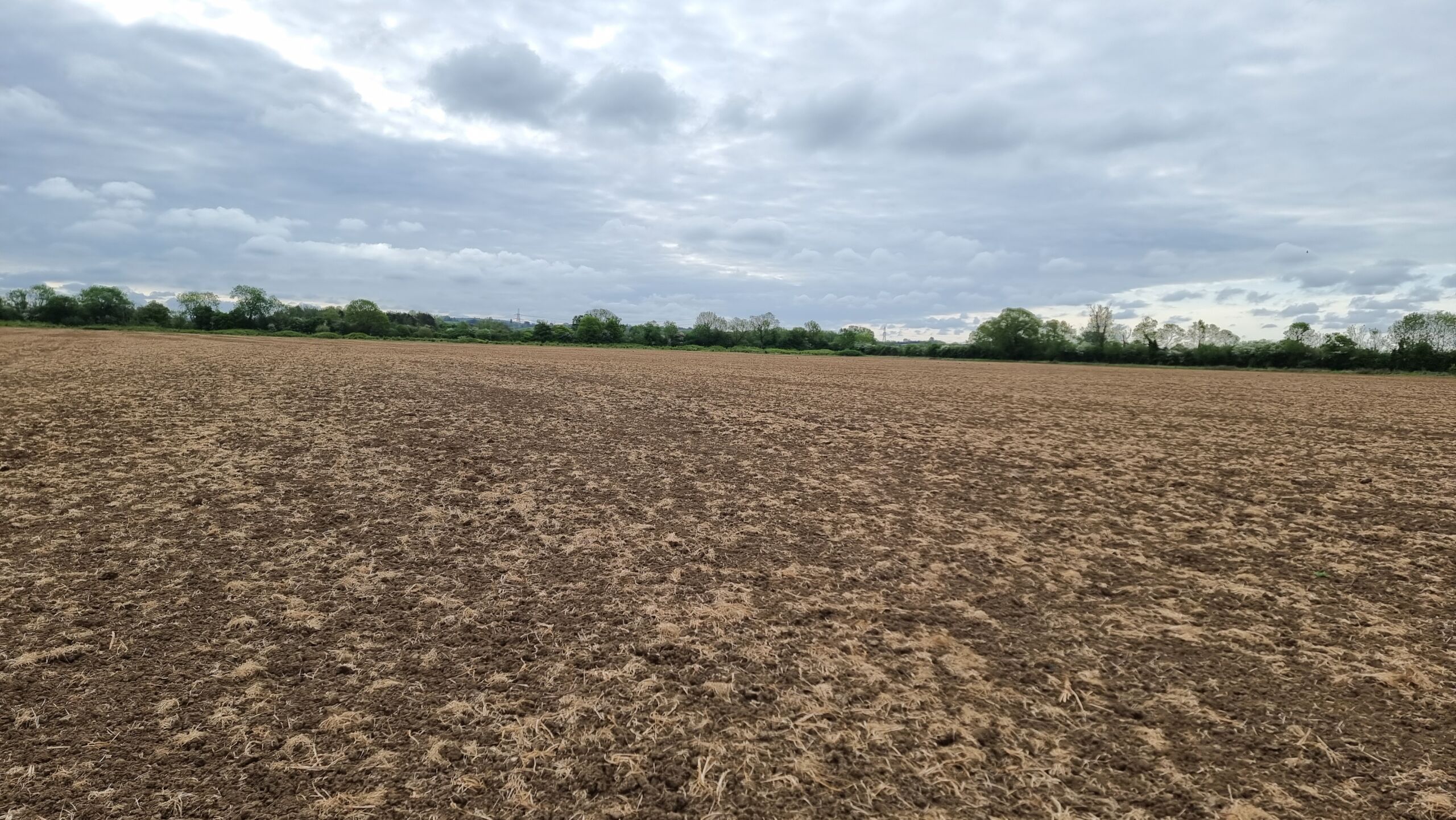 Full image of A large empty field.