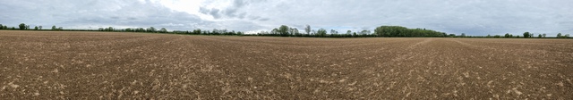 Ultrawide 360 degree panoramic view of the empty field, with trees and hedges in the distance.