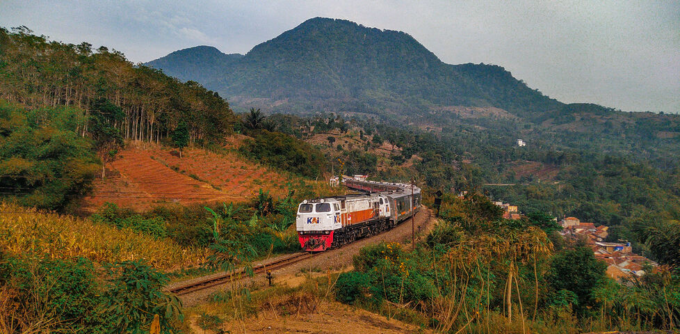 A long train snakes around hillside stepped farms in a tropical and mountainous landscape.