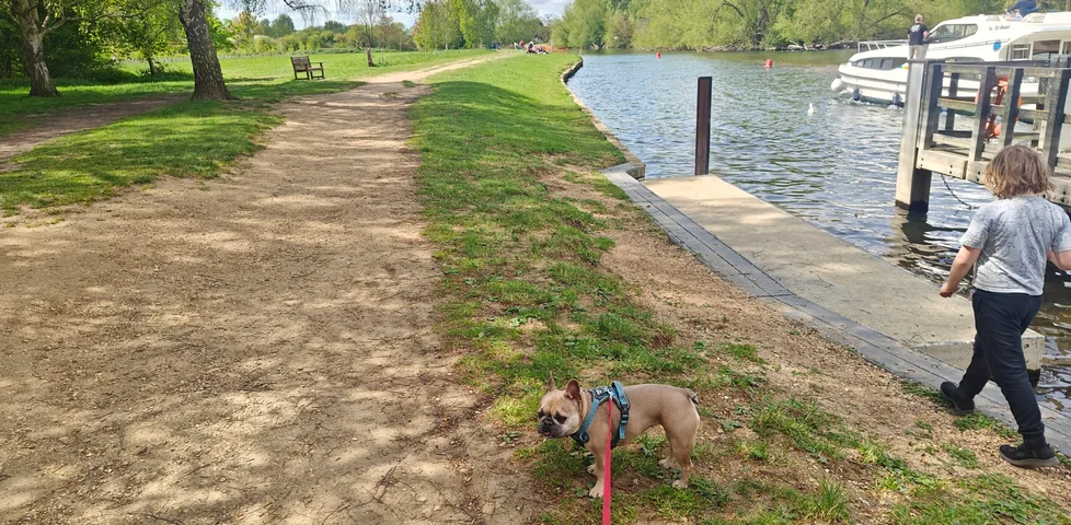 Image representing post: Thames Path 7