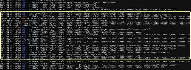 Caddy webserver logs, with a highlighted section showing a DNS-01 challenge for *.static.duckling.danq.me repeatedly fail and then eventually succeed, then a certificate chain being installed.