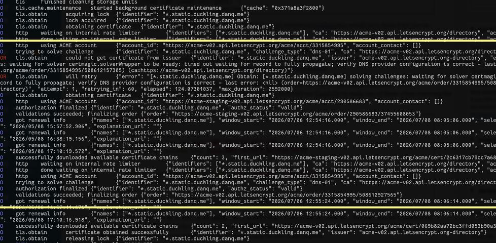 Caddy webserver logs, with a highlighted section showing a DNS-01 challenge for *.static.duckling.danq.me repeatedly fail and then eventually succeed, then a certificate chain being installed.