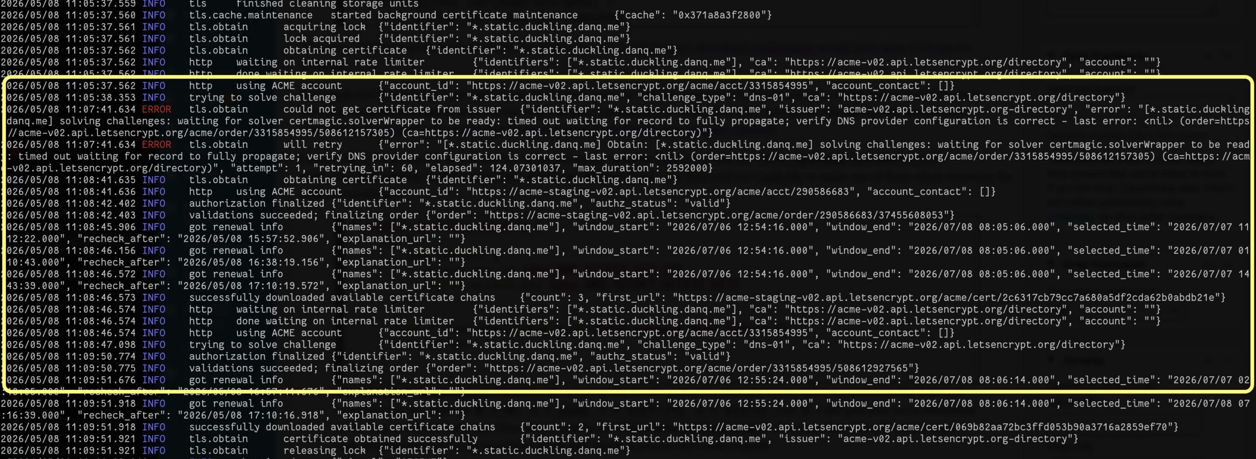 Full image of Caddy webserver logs, with a highlighted section showing a DNS-01 challenge for *.static.duckling.danq.me repeatedly fail and then eventually succeed, then a certificate chain being installed.