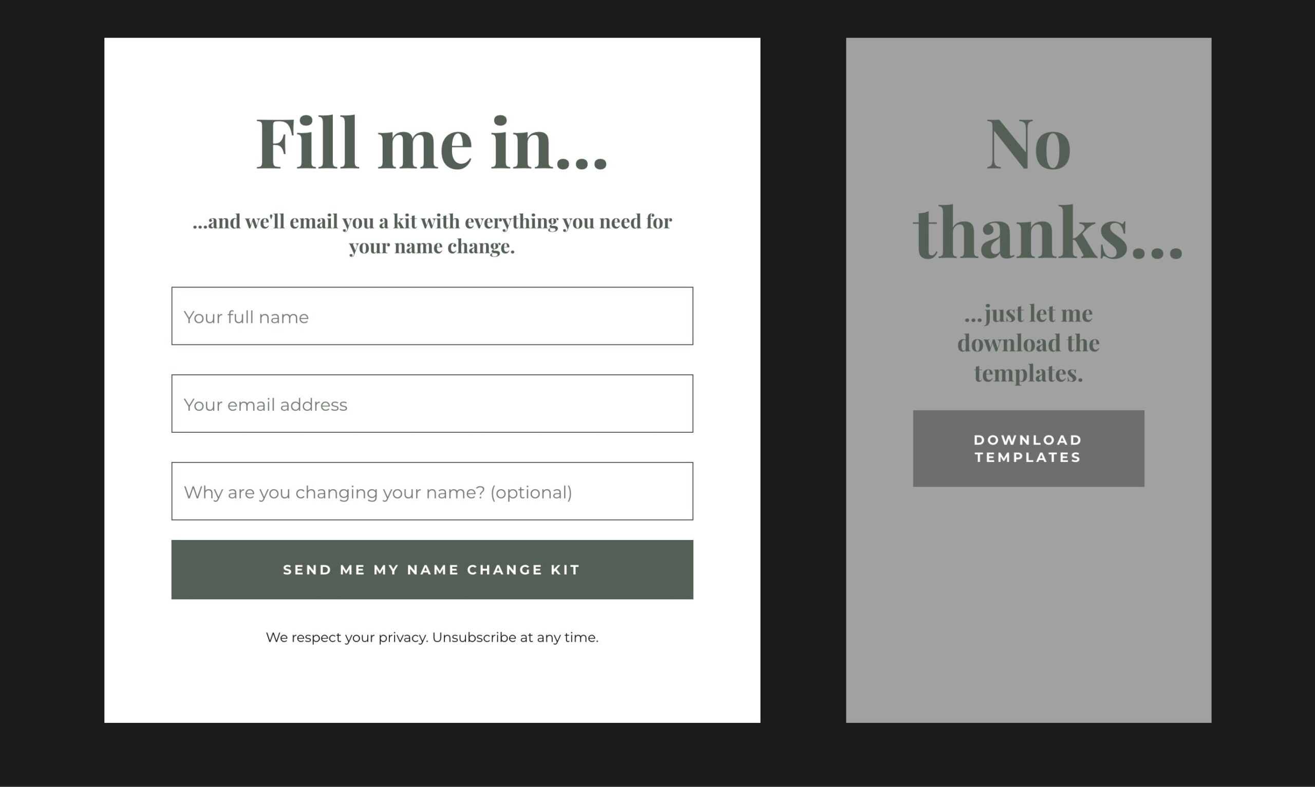 Full image of Mockup of a mailing list signup form like the one I saw, but improved to allow the templates to be downloaded without signing up.