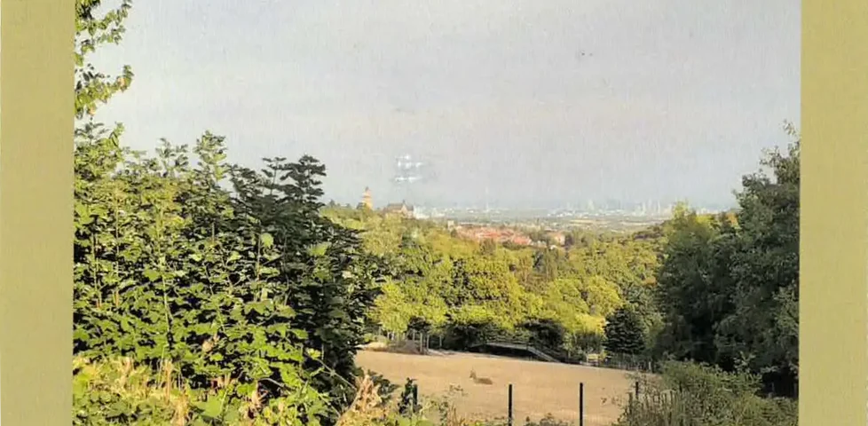 Photo postcard showing a valley flanked by deciduous woodlands.