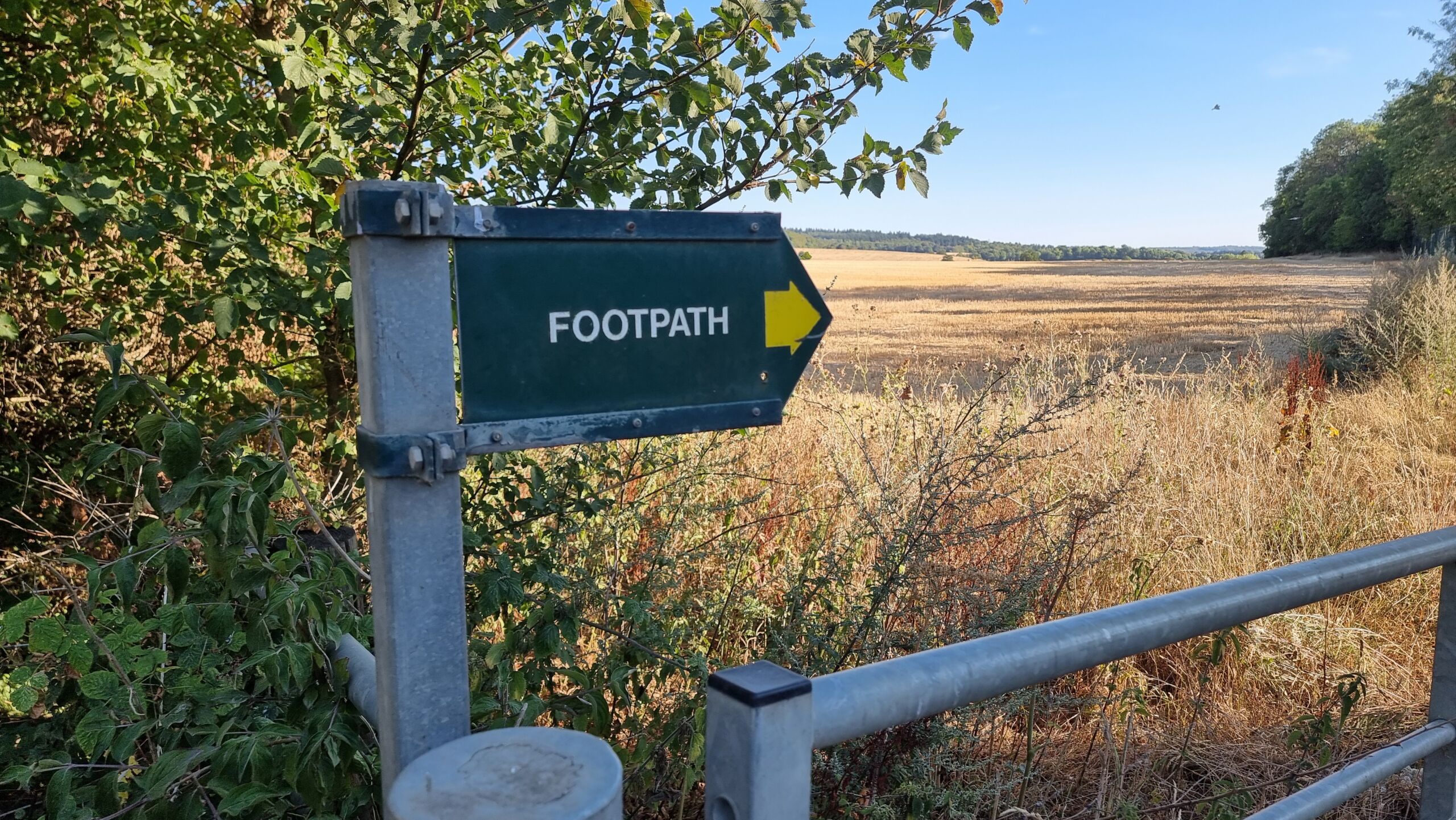 Full image of A footpath sign alongside a recently-cut field.