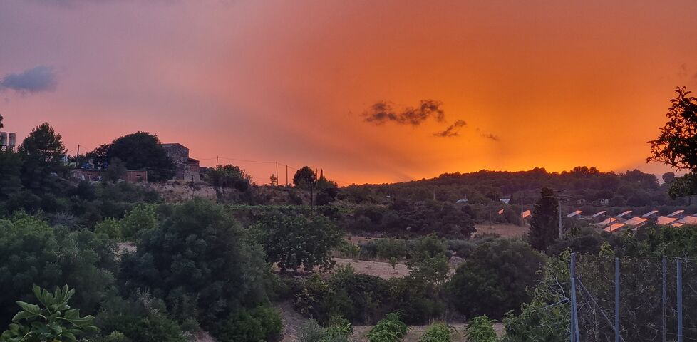 A red and orange sunset with beams reaching up over the hilly horizon of climatically- Mediterranean farmlands.
