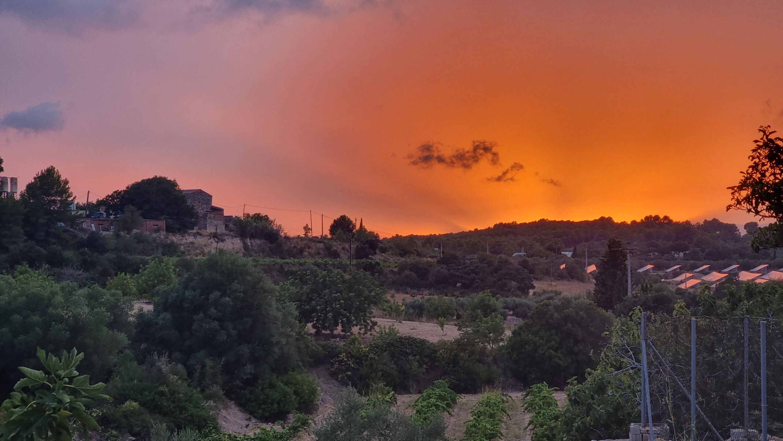 Full image of A red and orange sunset with beams reaching up over the hilly horizon of climatically- Mediterranean farmlands.