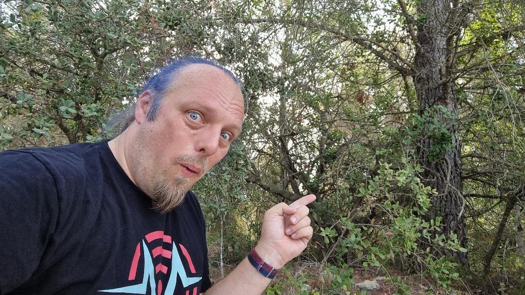 Full image of Dan points towards some bushes.